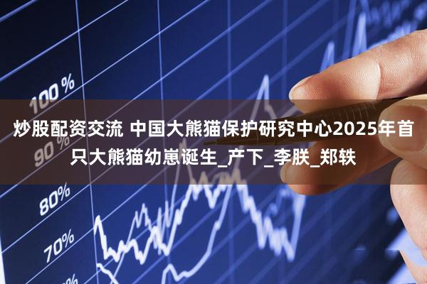 炒股配资交流 中国大熊猫保护研究中心2025年首只大熊猫幼崽诞生_产下_李朕_郑轶