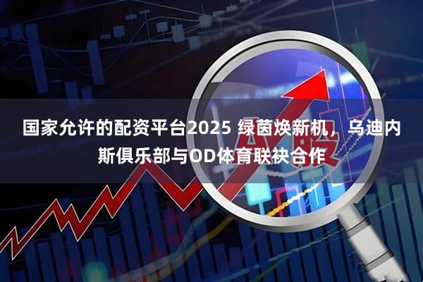 国家允许的配资平台2025 绿茵焕新机，乌迪内斯俱乐部与OD体育联袂合作